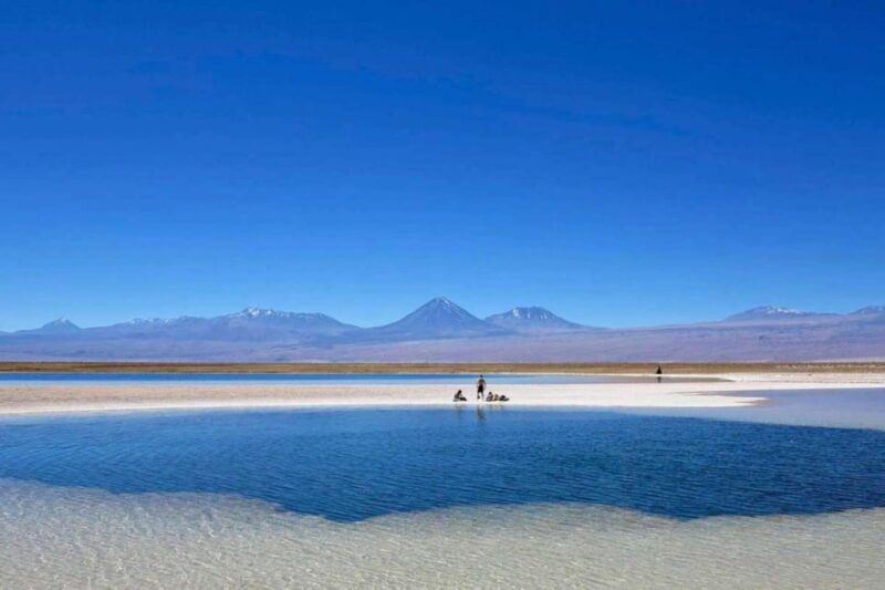 San Pedro De Atacama: Cejar and Tebenquiche Lagoon - Departure and Arrival Times
