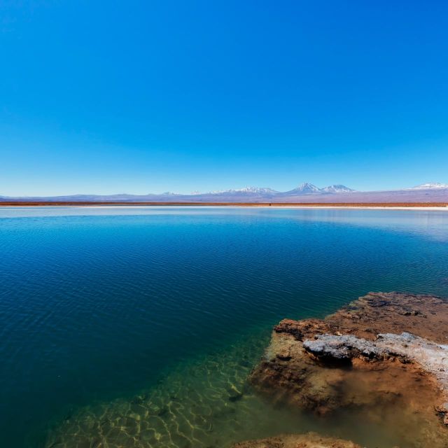 San Pedro De Atacama: Cejar Lagoon - Laguna Cejar