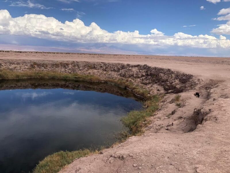 San Pedro De Atacama: Cejar Lagoon, Tebenquiche & Ojos Salar - Key Points