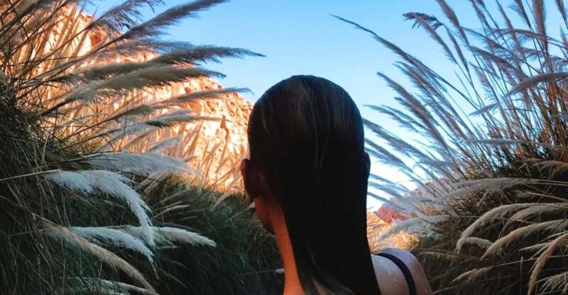 San Pedro De Atacama: Puritama Hot Springs Transfer Tour - Activity Details