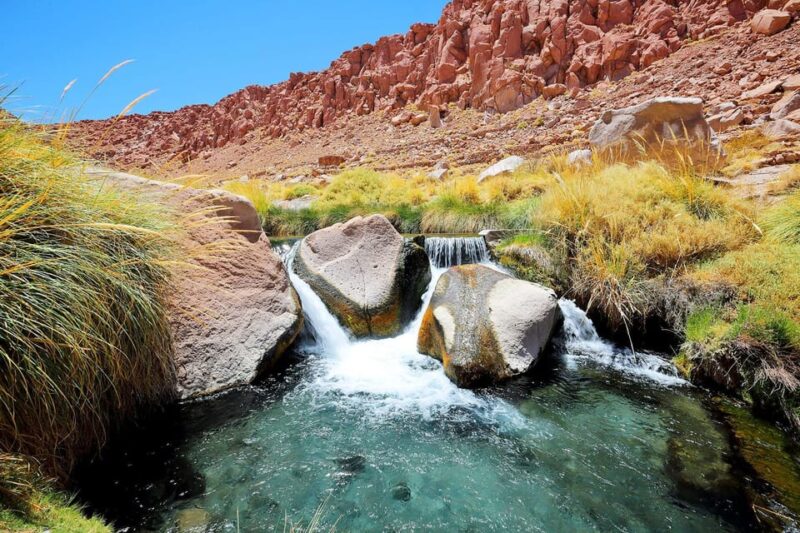 SAN PEDRO DE ATACAMA: PURITAMA HOT SPRINGS WITH ENTRANCE FEE - Pricing and Reservation