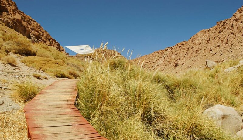 SAN PEDRO DE ATACAMA: PURITAMA HOT SPRINGS WITH ENTRANCE FEE - Medicinal Properties
