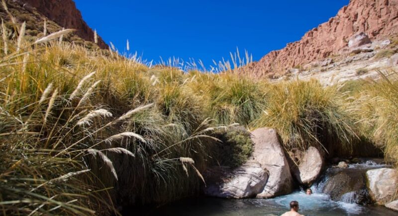 SAN PEDRO DE ATACAMA: PURITAMA HOT SPRINGS WITH ENTRANCE FEE - Accessibility and Transportation