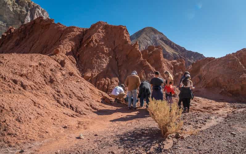 San Pedro De Atacama: Rainbow Valley and Petroglyphs Tour - Itinerary Highlights