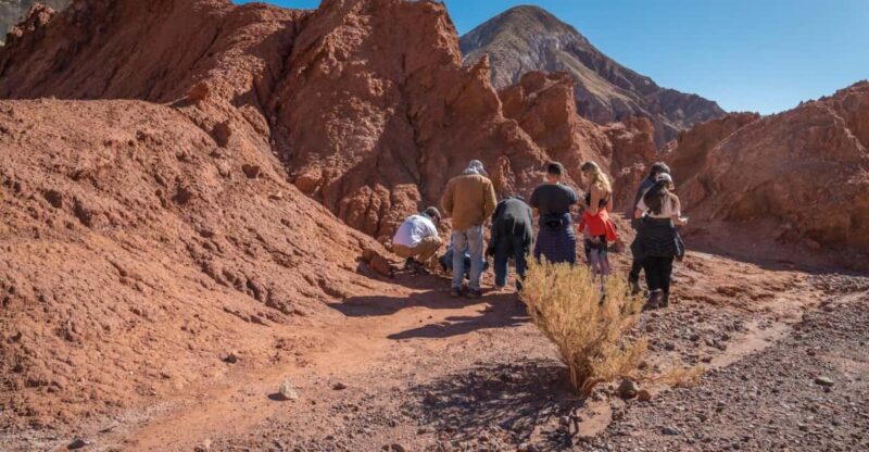 San Pedro De Atacama: Rainbow Valley and Petroglyphs Tour - Important Information and Requirements