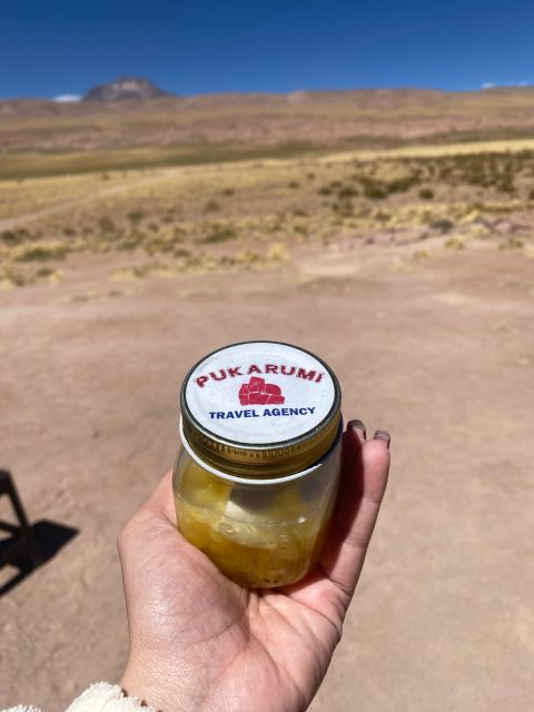 San Pedro De Atacama: Red Rocks & Altiplano Lagoons Day Trip - Itinerary Highlights