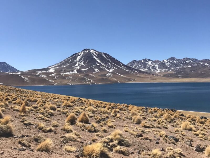 San Pedro De Atacama: Red Rocks & Altiplano Lagoons Day Trip - Red Rocks and Striking Landscapes