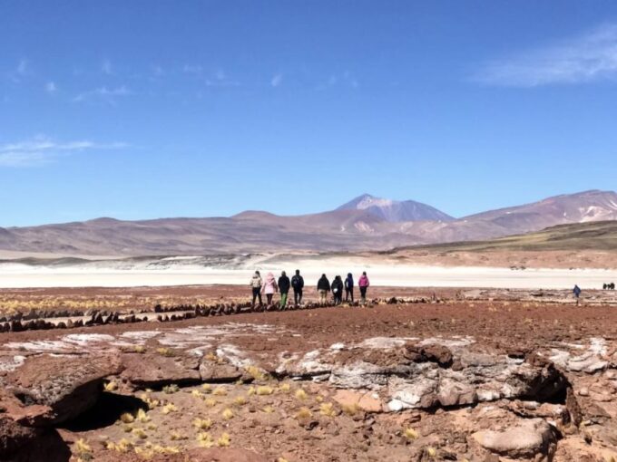 San Pedro De Atacama: Red Rocks & Altiplano Lagoons Day Trip - Altiplanic Lagoons Admiration