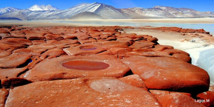 San Pedro De Atacama: Red Rocks & Altiplano Lagoons Day Trip - Participant Requirements and Restrictions