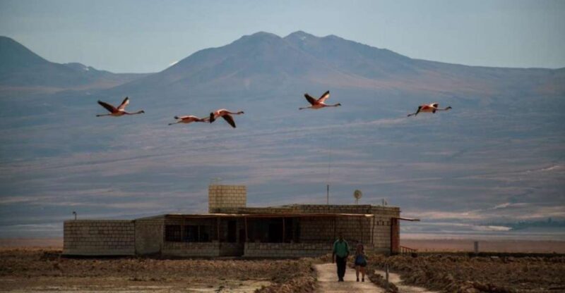 San Pedro De Atacama: Red Rocks and Aliplanic Lagoons - Itinerary and Highlights