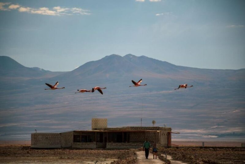 San Pedro De Atacama: Red Rocks and Aliplanic Lagoons - Inclusions