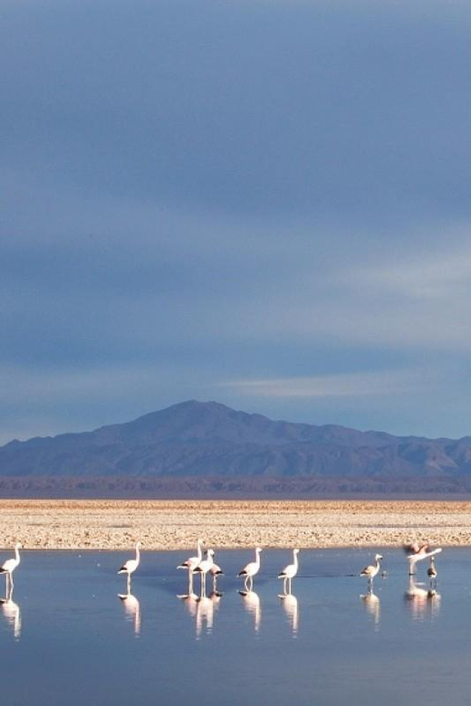 San Pedro De Atacama: Red Stones, Atacama Salt Flat, Lakes - Key Points