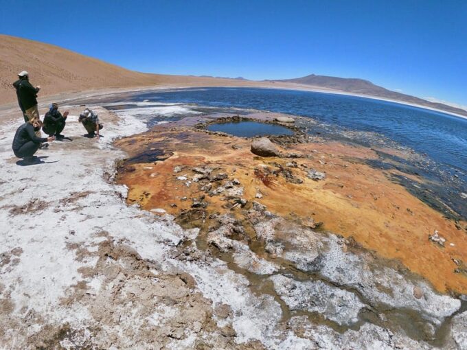 San Pedro De Atacama: Tour of Salt Flats Route With Meals - Recap