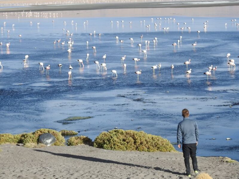 San Pedro De Atacama: Uyuni Salt Flats 4-Day Tour - Important Information