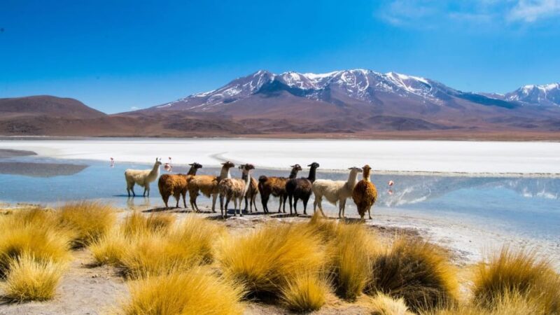 SAN PEDRO DE ATACAMA - UYUNI SEMI PRIVATE SERVICE - Day 3 Itinerary