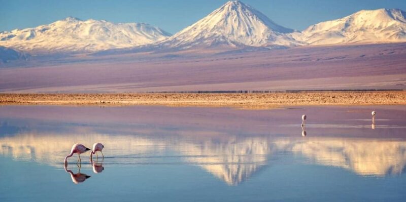 SAN PEDRO DE ATACAMA - UYUNI VIP PRIVATE SERVICE - Transportation and Logistics