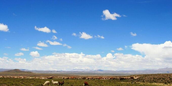 SAN PEDRO DE ATACAMA - UYUNI VIP PRIVATE SERVICE - Multilingual Guide Support