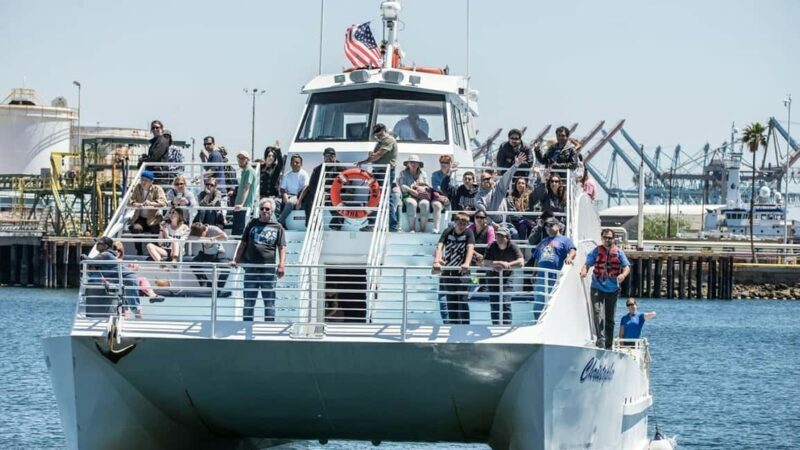 San Pedro: West Harbor LA Dolphin & Whale Watching Cruise - Final Thoughts