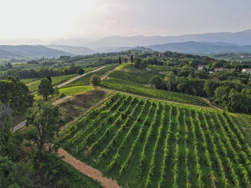 San Pietro Di Feletto: Vineyard Tour With Cellar Visit - Histórical Context of the Estate