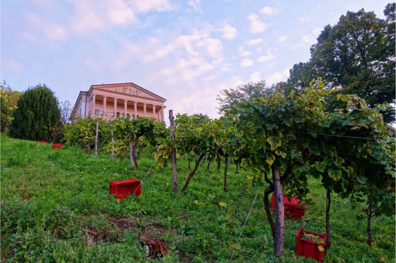 San Pietro Di Feletto: Vineyard Tour With Cellar Visit - Tasting Prosecco Superiore DOCG