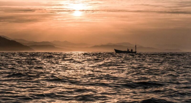 San Sebastian: Coast, Seafood and Wine Tour - Fishing Village and Fish Purchase