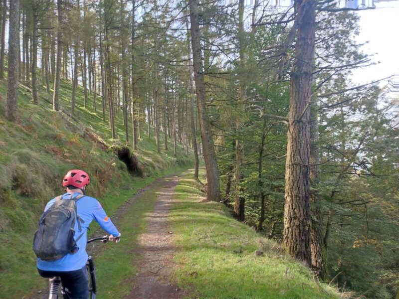 San Sebastian: E-Mountain Bike Igeldo Mountain Tour - Key Points