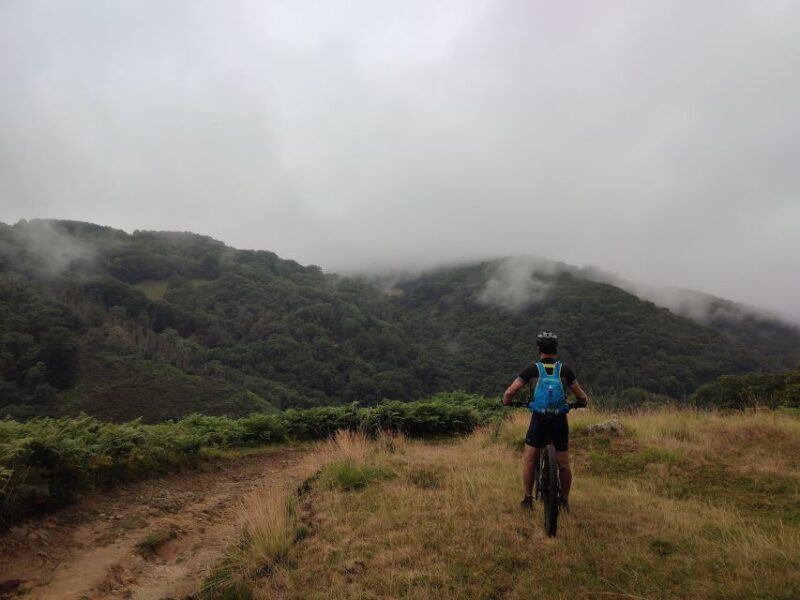 San Sebastian: E-Mountain Bike Igeldo Mountain Tour - Languages Offered