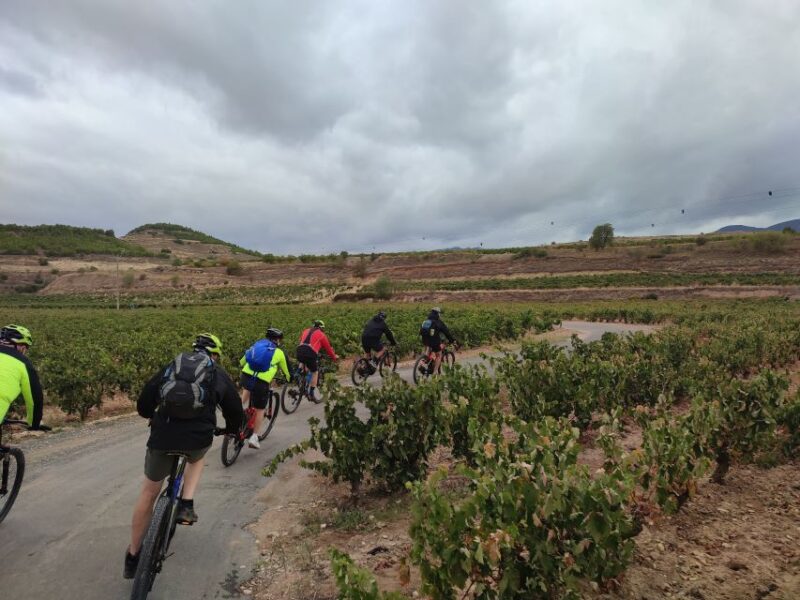 San Sebastian: E-Mountain Bike Igeldo Mountain Tour - Pintxo and Drink Stop