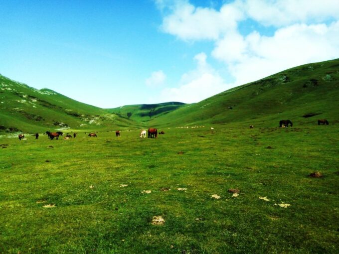 San Sebastian: Hike the Heart of the Basque Country - Frequently Asked Questions