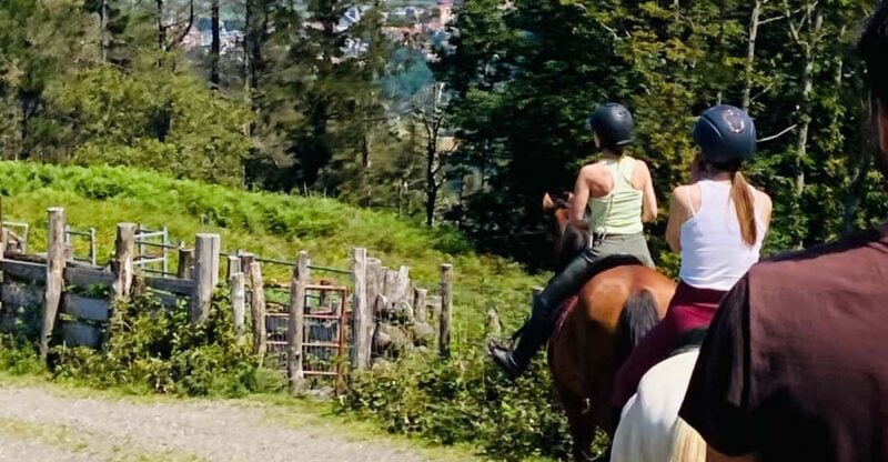 San Sebastian: Horseback Riding & Traditional Delights - Activity Details