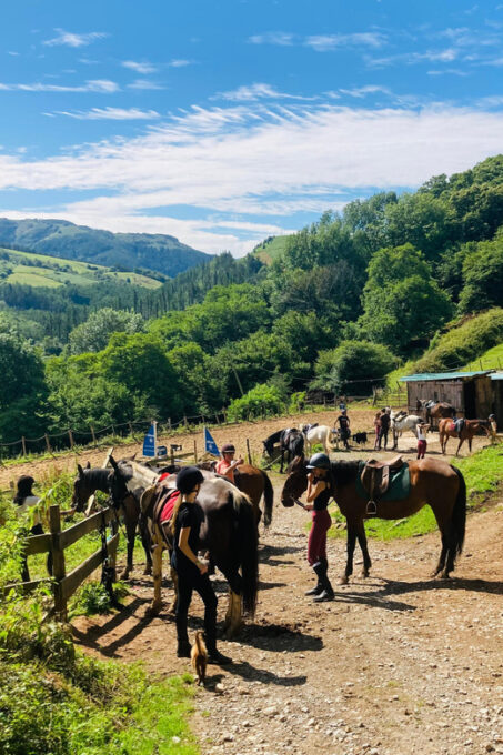 San Sebastian: Horseback Riding & Traditional Delights - Meal Highlights