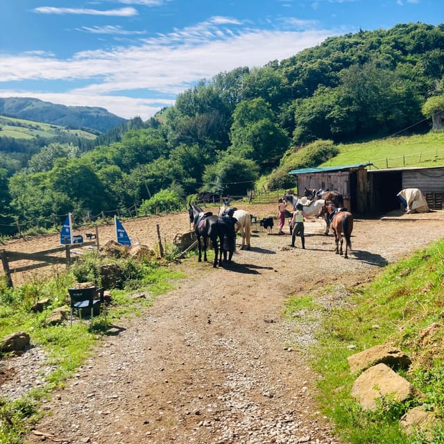 San Sebastian: Horseback Riding & Traditional Delights - Itinerary Details