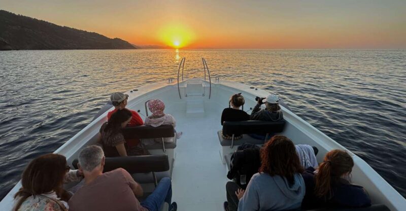 San Sebastian: Kantauri 2 Bays, Hills, and Pasaia Tour - Key Points