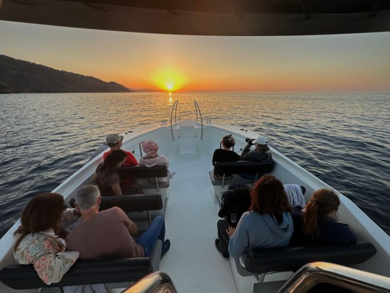 San Sebastian: Kantauri 2 Bays, Hills, and Pasaia Tour - Meeting Point and Location