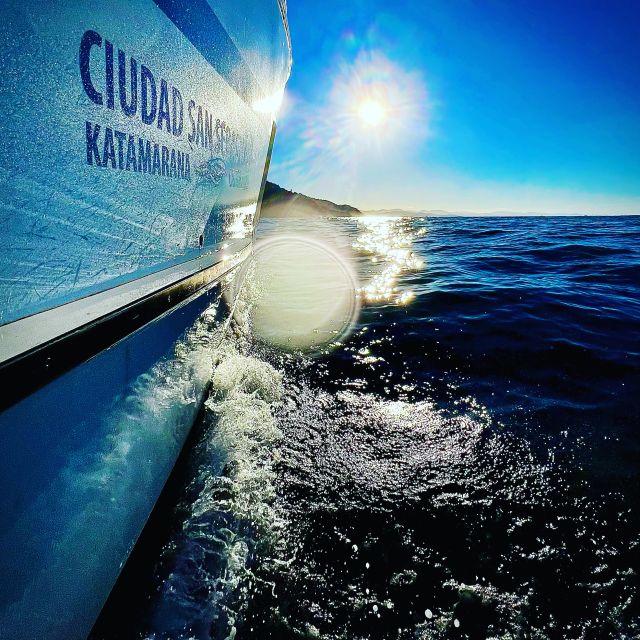 San Sebastian: Panoramic Catamaran Tour of the Bay and Coast - Key Points