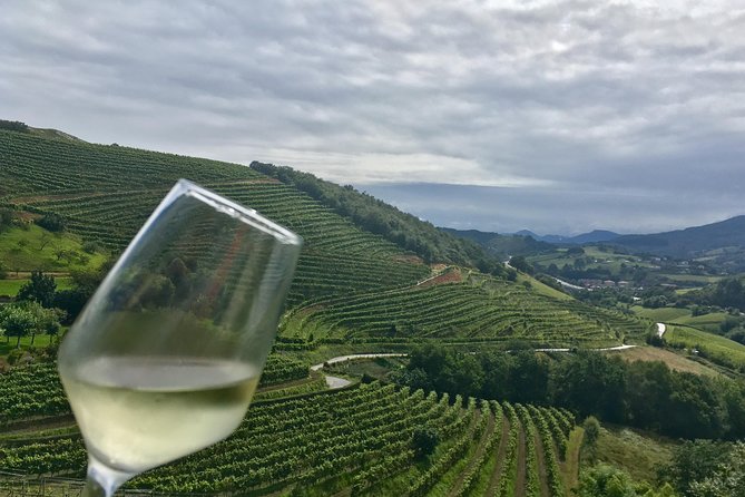 San Sebastián, Txakoli Winery and Coastal Villages. Maximum 4 Persons. - Key Points