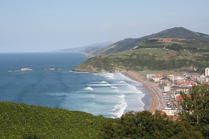 San Sebastián, Txakoli Winery and Coastal Villages. Maximum 4 Persons. - Frequently Asked Questions