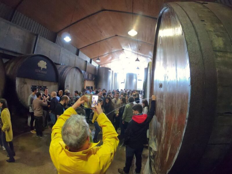 San Sebastian: Unique and Fun Basque Cider Culture Tour - Key Points