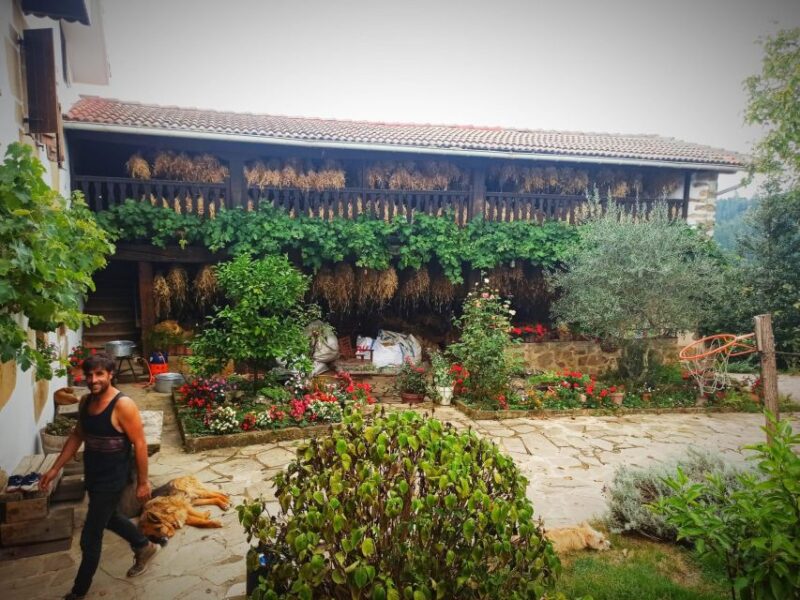 San Sebastian:Discover the Artisan Producers of the Mountain - Exclusions