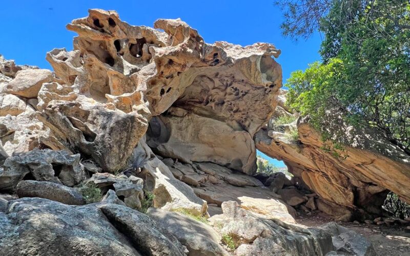 San Teodoro: Rio Pitrisconi Jeep and Hiking Tour - Customer Reviews and Ratings