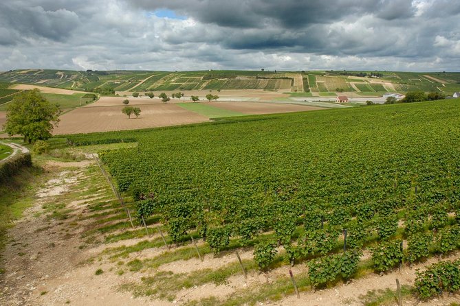 Sancerre & Pouilly-Fumé Wine Tour With Local Goats Cheese and the River Loire - Discover Sancerres Sights