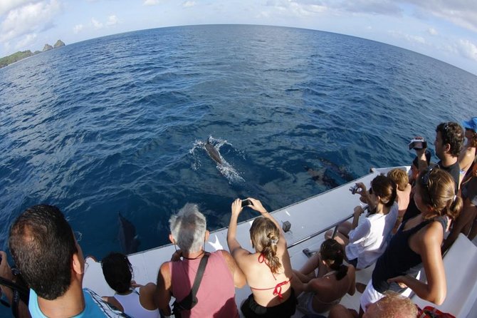 Sancho Bay Swim From Fernando De Noronha - Abundant Marine Life and Encounters