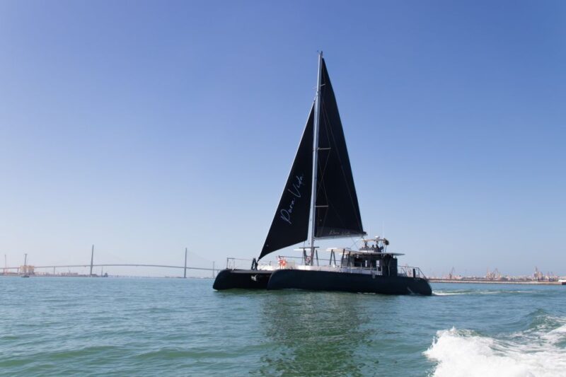 Sancti Petri: Catamaran Cruise With Swim Stop and Lunch - Key Points