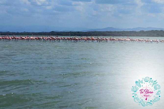 Sanctuary Los Flamingos Tour - Community Engagement