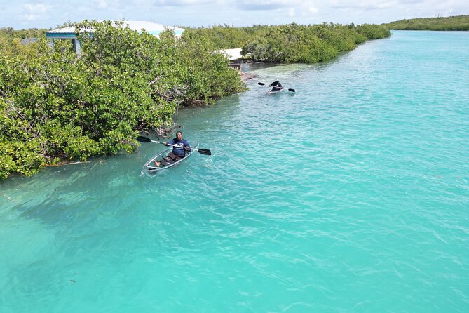 Sand Bar and Mangrove Forest Kayak Tour Grand Turk Island - Paddling Through Mangrove Forests