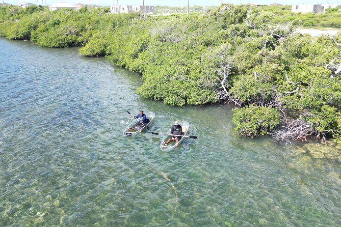 Sand Bar and Mangrove Forest Kayak Tour Grand Turk Island - Scenic Views and Wildlife