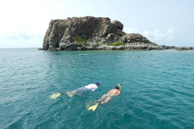 Sand Dollar Half Day Snorkel Trip - Trip Overview