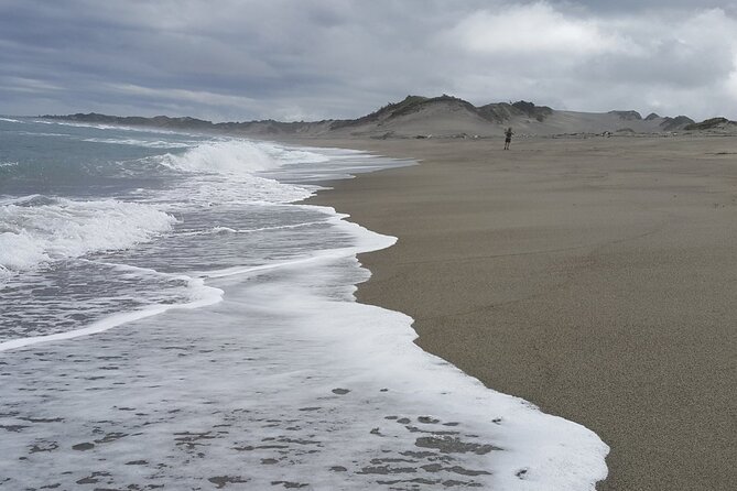 Sand Dunes National Heritage Park& Natadola Beach Half Day Tour - Pickup Information