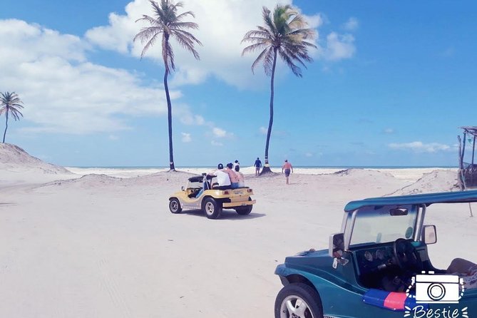 Sand Dunes of Mangue Seco PRIVATE Full Day Tour From Salvador - Natural Beauty of Mangue Seco