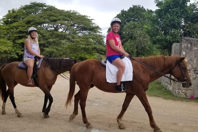 Sand N Saddle Horseback Ride & Swim Tour From Falmouth - About Your Stay
